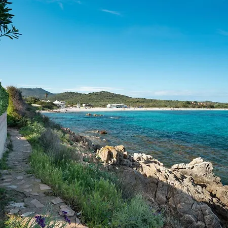 Lazulino By Klodge * Olbia